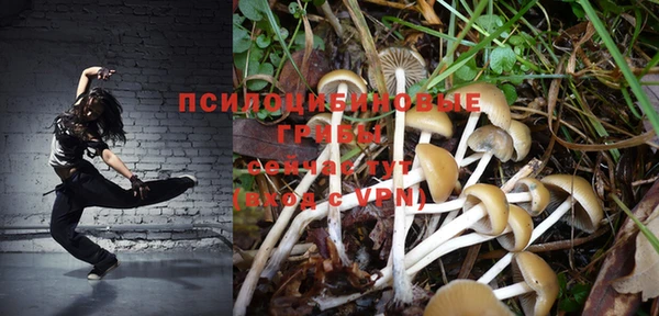 кристаллы Горнозаводск