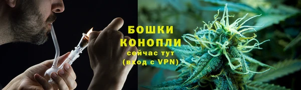 гидра Горняк