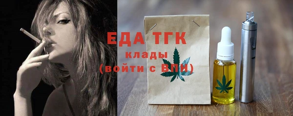 гидра Горняк