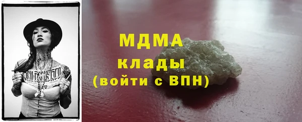 гидра Горняк