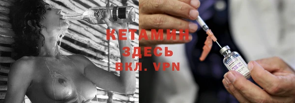 гидра Горняк