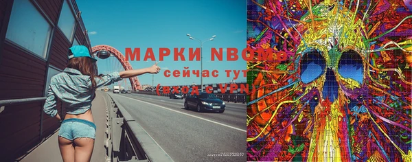 гидра Горняк