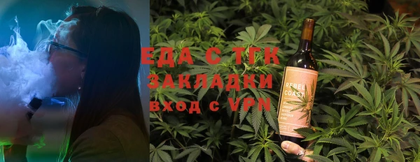 гидра Горняк