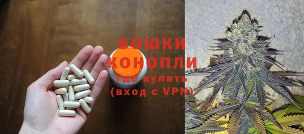 гидра Горняк