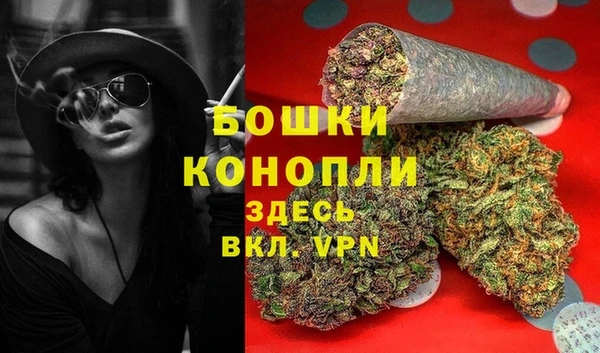 гидра Горняк